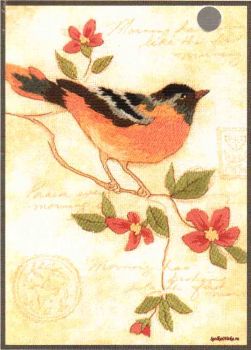 Elegant Oriole 6237 / Элегантная иволга