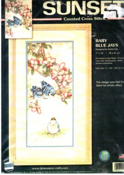 Baby Blue Jays 13728 / Маленькие голубые сойки ( США )