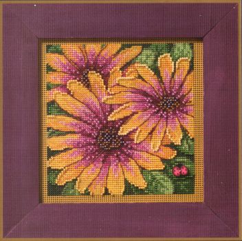 African Daisies MH14-2521 / Африканские маргаритки